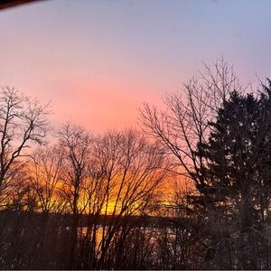 Meet your Posher, Daniela